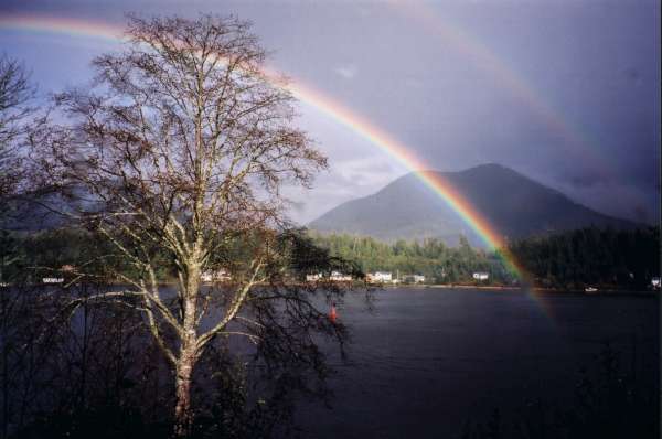 Rainbow over our harbour-600.jpg